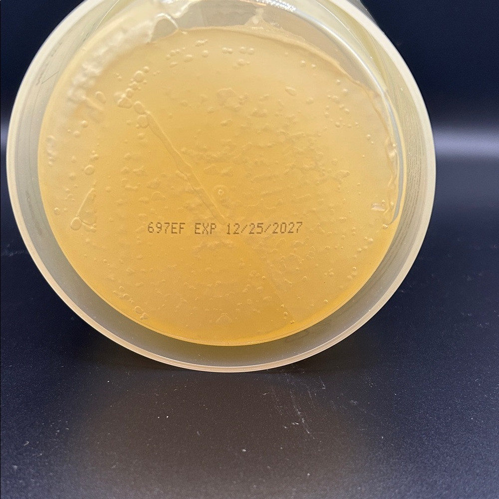 Biodance Vita Niacinamide Gel Toner Pads (60 pads) NEW - Picture 2 of 2